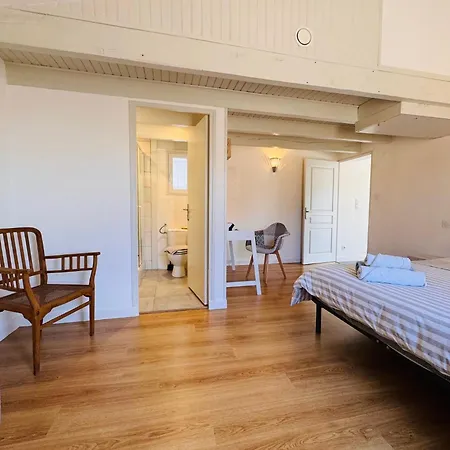 Le Cosy De La Ramee * Tournefeuille