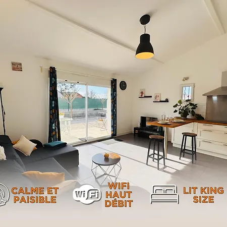 Le Cosy De La Ramee Apartment Tournefeuille